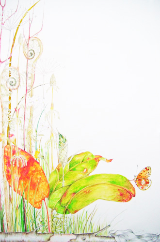 Elisabeth Bramwell, Dock Leaves, Butterfly